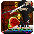 Guide: Fruit Ninja icon