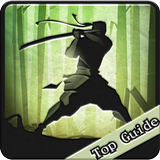 Guide Shadow fight2 ikona
