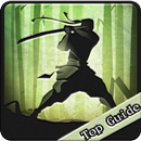 Guide Shadow fight2 APK