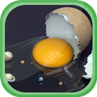 Boiled Eggs Diet - 14 Days icône