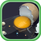 Boiled Eggs Diet - 14 Days 图标
