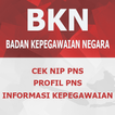 BKN - PNS