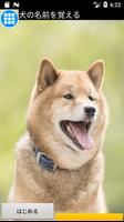 犬の名前を覚える الملصق