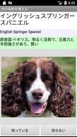 犬の名前を覚える تصوير الشاشة 2
