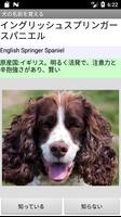 犬の名前を覚える capture d'écran 2