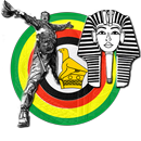 ZIMSEC JC History APK