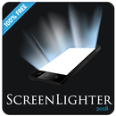 Front Torchlight Mobile APK