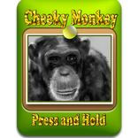 Talking Monkey - Cheeky Monkey