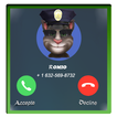 Call From Cat Talking