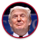 THE POINTLESS TRUMP icon