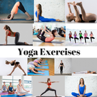 YOGA EXERCISES - POSES FOR ALL BODY PARTS icône