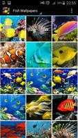 Fish Wallpaper screenshot 3