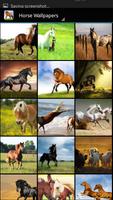 Horse  Wallpaper poster