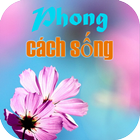 Phong Cach Song иконка
