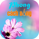 Phong Cach Song icono