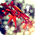 Leaf falling Live Wallpaper