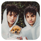 Lucas And Marcus Wallpapers HD иконка