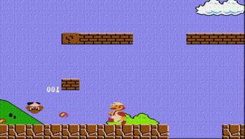 New Mario Bros Hint screenshot 1
