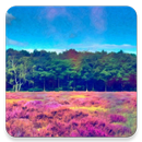 Drug Addict Test APK
