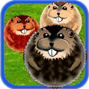 Hamster Killer APK