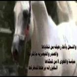 شيلة يوم اقبلت والجمال يغازل ارجاها روعة