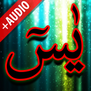 Surah Yaseen + Audio (Offline) aplikacja