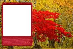 Nature Pic Frame Editor Affiche