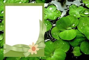 Cool Frame Photo Editor Poster