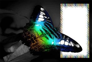 Cool Frame Photo Editor captura de pantalla 2