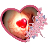 Love Photo Frame Effects icono