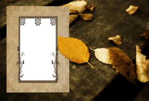 Photo Studio Frame Effect captura de pantalla 2