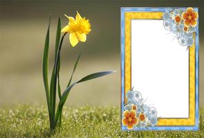 Photo Studio Frame Effect captura de pantalla 3