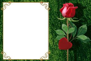 Romance Frame Photo Editor captura de pantalla 3