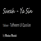 Surah Yasin - Tafseer icône