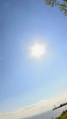 Скачать The True Weather APK