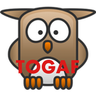 TOGAF Aprendix icône
