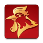 Rooster Years 4D Generator icon