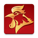Rooster Years 4D Generator APK