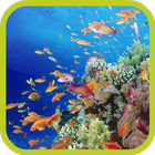 Yellow Fishes Video Wallpaper icono