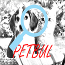 petbul APK