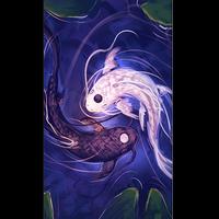 New Yin Yang Wallpaper HD Affiche