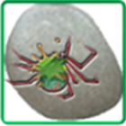 Insect Killer icon