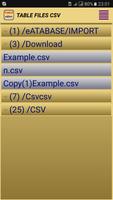 Таблица редактор CSV poster