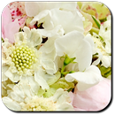 bouquet de mariée APK