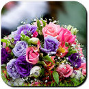 Kwiaty Ślubne aplikacja