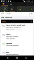 Znxt Developer Cartaz