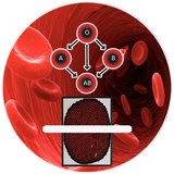 Blood group test checker with finger 2018 simgesi