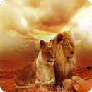 Zoo Jigsaw Puzzles Games APK