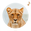 Animal Sounds APK