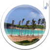 Exotic Ringtones APK